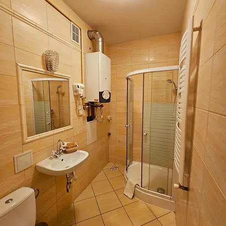 Na Starowce 公寓 *